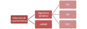 Selección de características del software