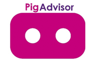 Pig Advisor