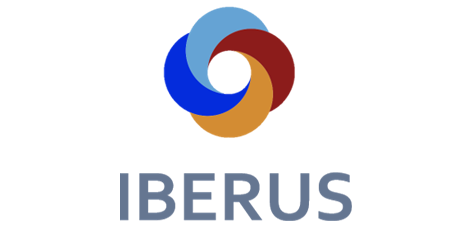 IBERUS – Biomedical Engineering Technology Network applied to degenerative pathologies of the neuromusculoskeletal system in out-of-hospital clinical settings