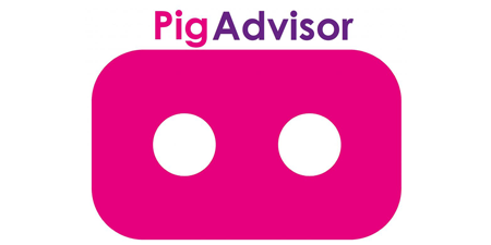 PigAdvisor – Asesor virtual para granjas