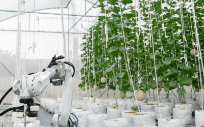 Arranca el trabajo de FRUCTHOR-IA para promover soluciones de robótica autónoma al sector hortofrutícola