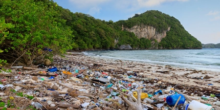 ITCL trabajará en el proyecto europeo SuN4Med para mitigar el desperdicio de alimentos y la contaminación por plásticos