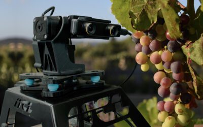 ITCL aporta su experiencia en el I Foro Internacional de Digitalización en Viticultura (EXPO-DIGIVIT) en Lerma (Burgos)