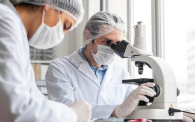 El Ministerio de Ciencia confirma el impacto estratégico de los Centros Tecnológicos en la I+D+i y la competitividad empresarial