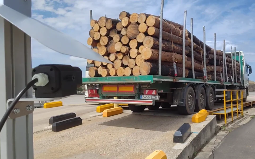 La inteligencia artificial revoluciona la trazabilidad de la madera con un nuevo sistema desarrollado por ITCL